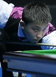 显示出极高 显示出极高